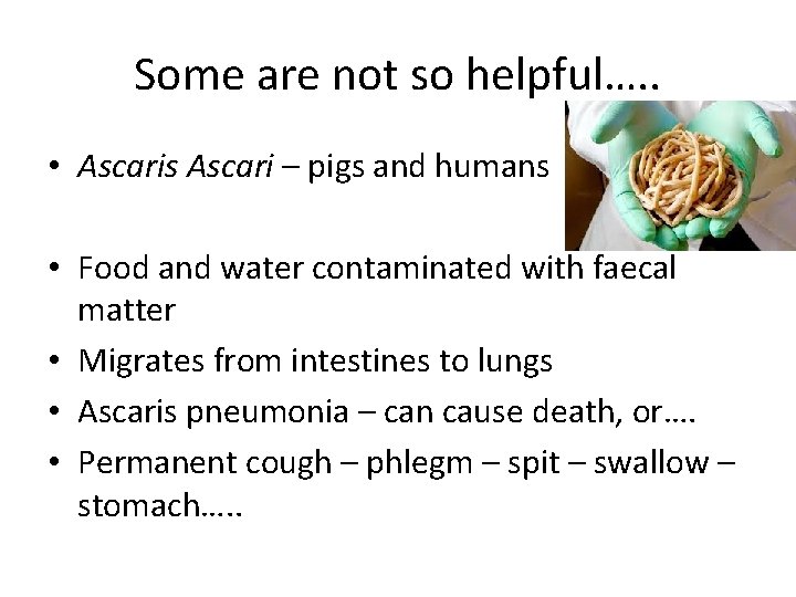 Some are not so helpful…. . • Ascaris Ascari – pigs and humans •