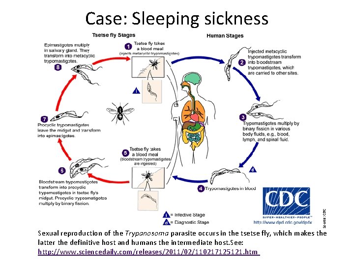 Source: CDC Case: Sleeping sickness Sexual reproduction of the Trypanosoma parasite occurs in the