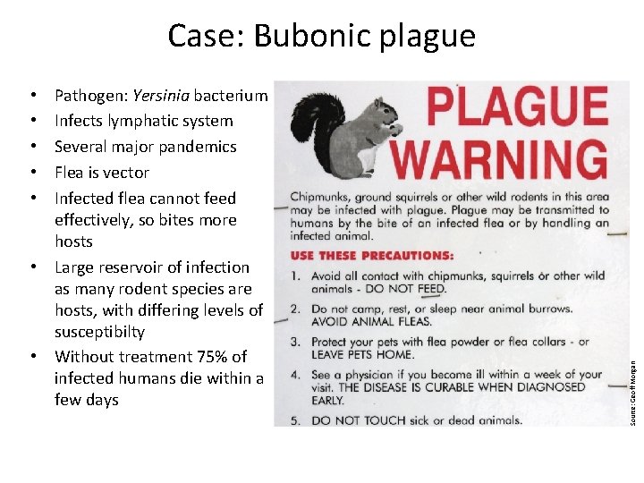 Case: Bubonic plague Pathogen: Yersinia bacterium Infects lymphatic system Several major pandemics Flea is