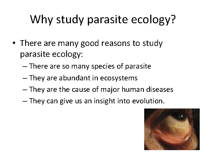 Why study parasite ecology? • There are many good reasons to study parasite ecology: