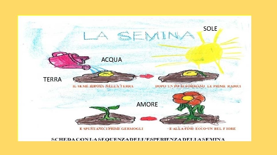 SOLE ACQUA TERRA AMORE 