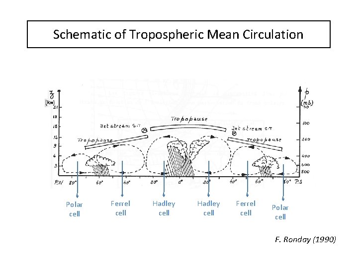 Schematic of Tropospheric Mean Circulation Polar cell Ferrel cell Hadley cell Ferrel cell Polar
