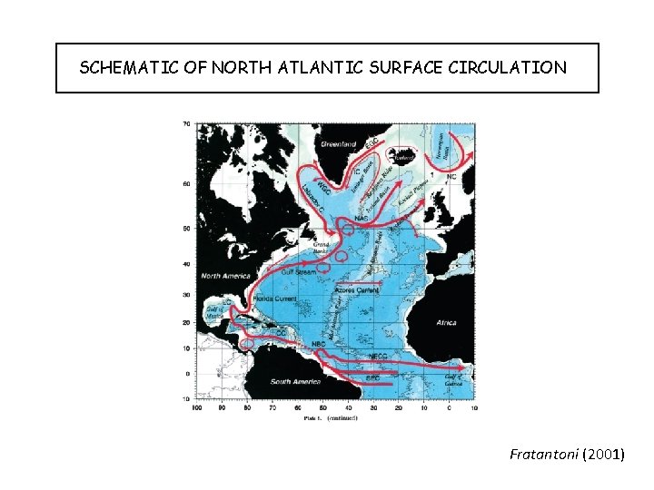 SCHEMATIC OF NORTH ATLANTIC SURFACE CIRCULATION Fratantoni (2001) 