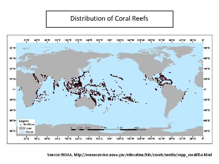 Distribution of Coral Reefs Source: NOAA, http: //oceanservice. noaa. gov/education/kits/corals/media/supp_coral 05 a. html 