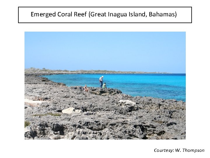 Emerged Coral Reef (Great Inagua Island, Bahamas) Courtesy: W. Thompson 