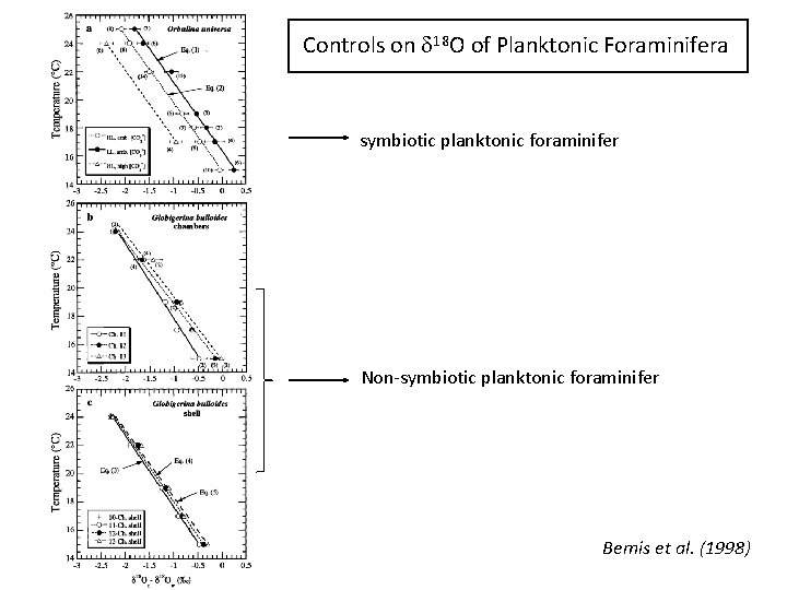 Controls on d 18 O of Planktonic Foraminifera symbiotic planktonic foraminifer Non-symbiotic planktonic foraminifer