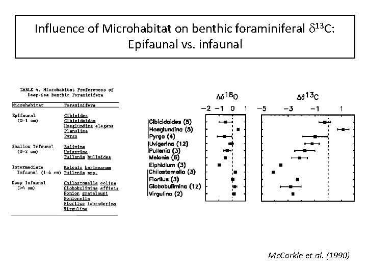 Influence of Microhabitat on benthic foraminiferal d 13 C: Epifaunal vs. infaunal Mc. Corkle