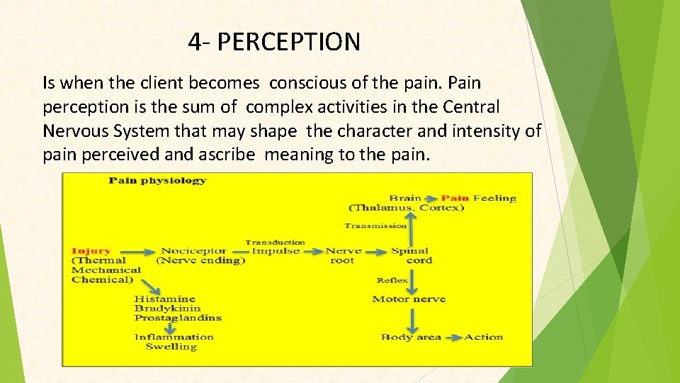 4 - PERCEPTION Is when the client becomes conscious of the pain. Pain perception