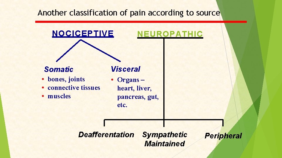 Another classification of pain according to source NOCICEPTIVE NEUROPATHIC Visceral Somatic • bones, joints