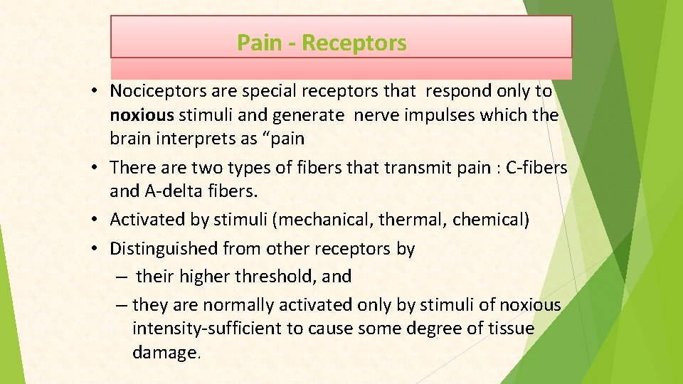 Pain - Receptors • Nociceptors are special receptors that respond only to noxious stimuli