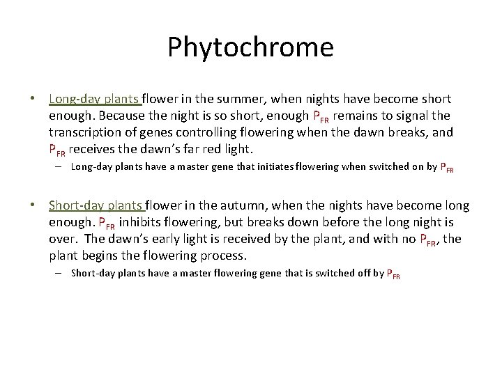 Phytochrome • Long-day plants flower in the summer, when nights have become short enough.