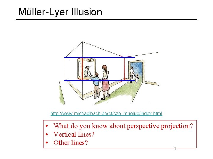 Müller-Lyer Illusion http: //www. michaelbach. de/ot/sze_muelue/index. html • What do you know about perspective