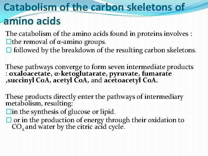 Catabolism of the carbon skeletons of amino acids The catabolism of the amino acids