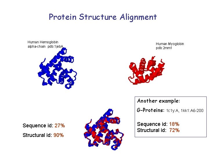 Protein Structure Alignment Human Hemoglobin alpha-chain pdb: 1 jeb. A Human Myoglobin pdb: 2