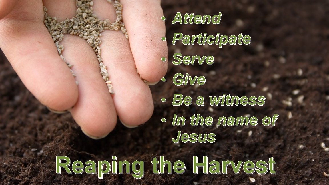  • • • Attend Participate Serve Give Be a witness In the name