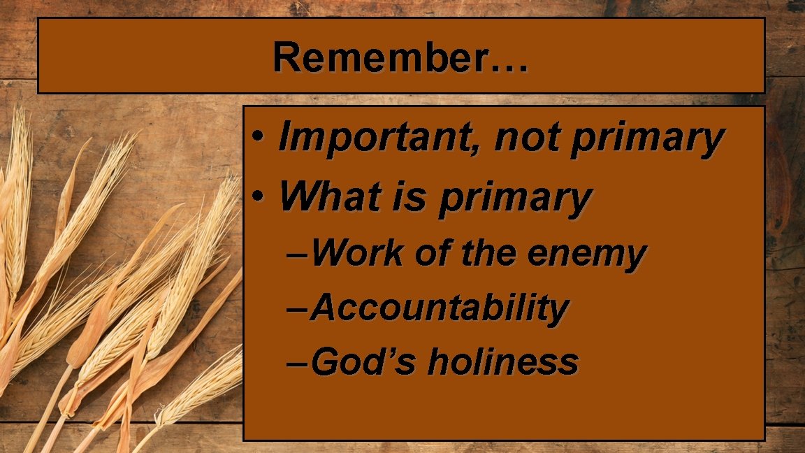Remember… • Important, not primary • What is primary – Work of the enemy