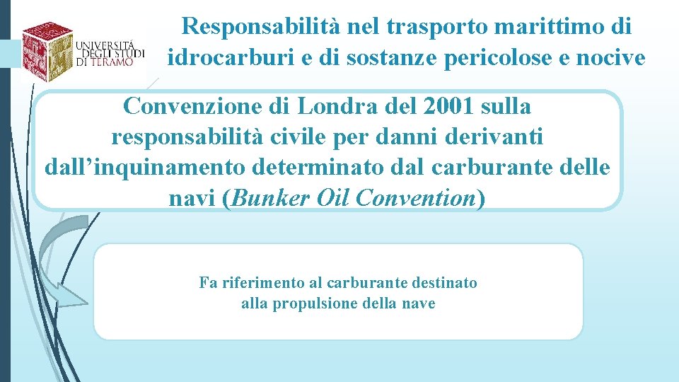 Responsabilità nel trasporto marittimo di idrocarburi e di sostanze pericolose e nocive Convenzione di