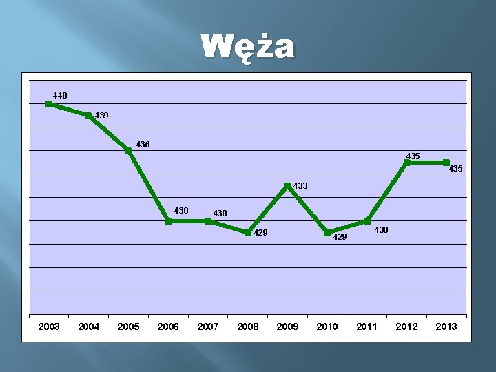 Węża 440 439 436 435 433 430 429 2003 2004 2005 2006 2007 2008