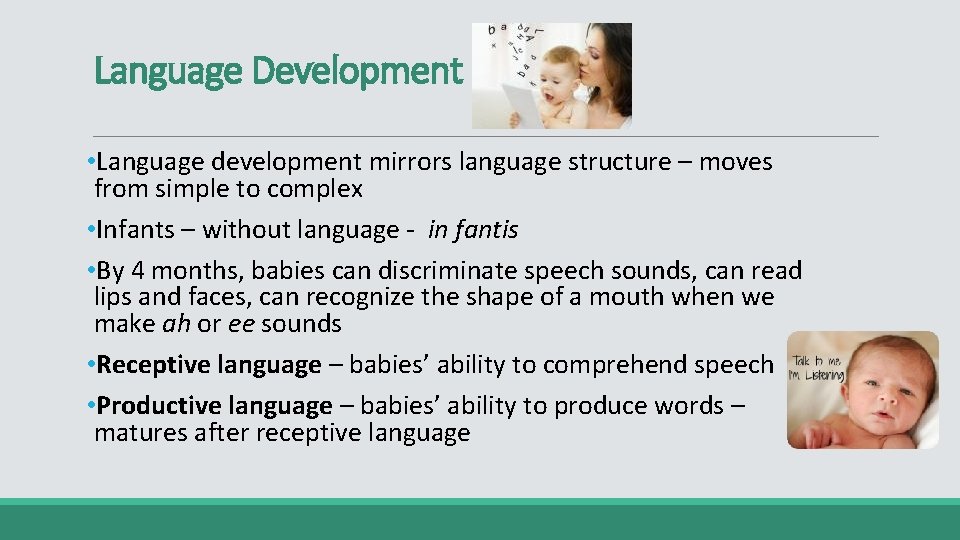 Language Development • Language development mirrors language structure – moves from simple to complex