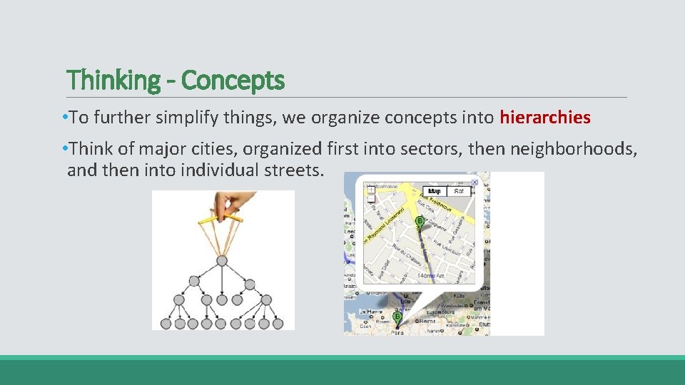 Thinking - Concepts • To further simplify things, we organize concepts into hierarchies •