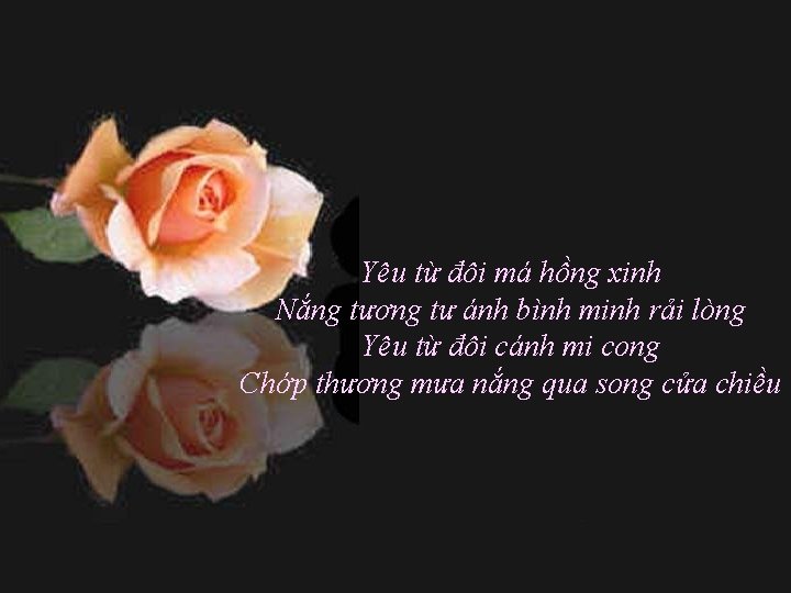 Yêu từ đôi má hồng xinh Nắng tương tư ánh bình minh rải lòng