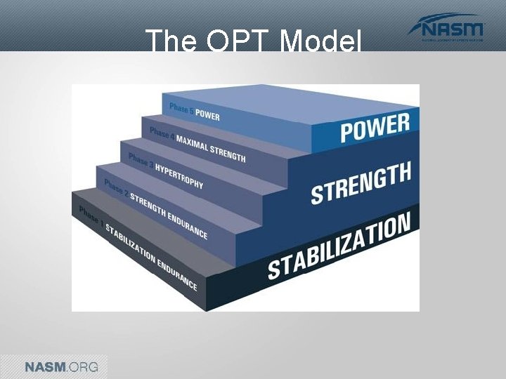 The OPT Model 