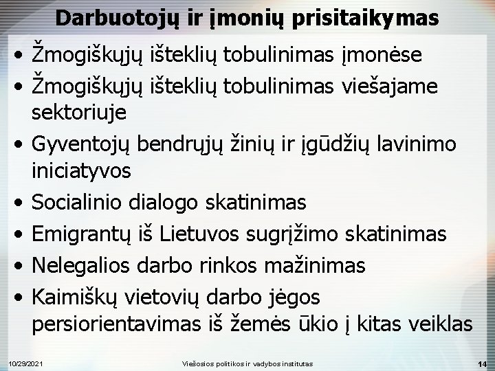 Darbuotojų ir įmonių prisitaikymas • Žmogiškųjų išteklių tobulinimas įmonėse • Žmogiškųjų išteklių tobulinimas viešajame