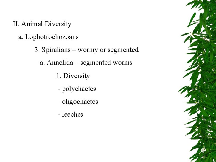 II. Animal Diversity a. Lophotrochozoans 3. Spiralians – wormy or segmented a. Annelida –