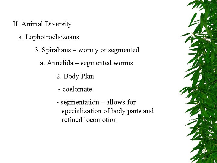 II. Animal Diversity a. Lophotrochozoans 3. Spiralians – wormy or segmented a. Annelida –