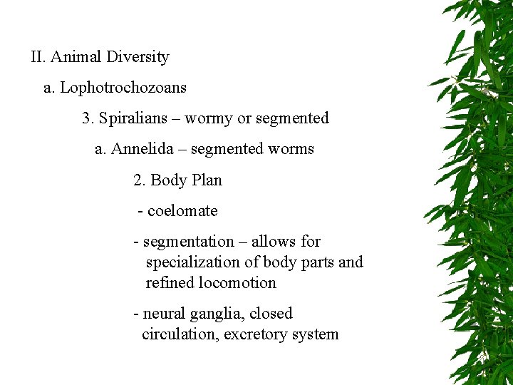 II. Animal Diversity a. Lophotrochozoans 3. Spiralians – wormy or segmented a. Annelida –