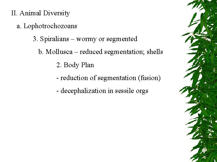 II. Animal Diversity a. Lophotrochozoans 3. Spiralians – wormy or segmented b. Mollusca –