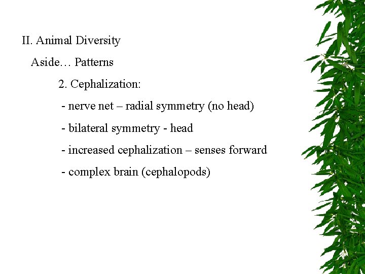 II. Animal Diversity Aside… Patterns 2. Cephalization: - nerve net – radial symmetry (no