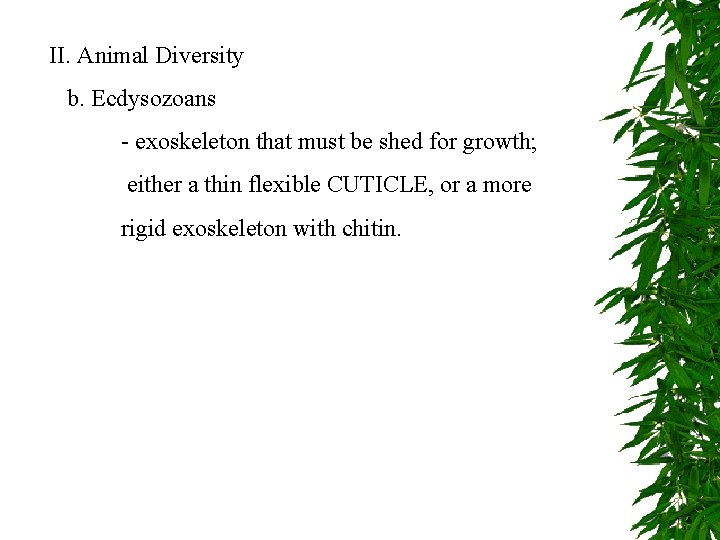 II. Animal Diversity b. Ecdysozoans - exoskeleton that must be shed for growth; either