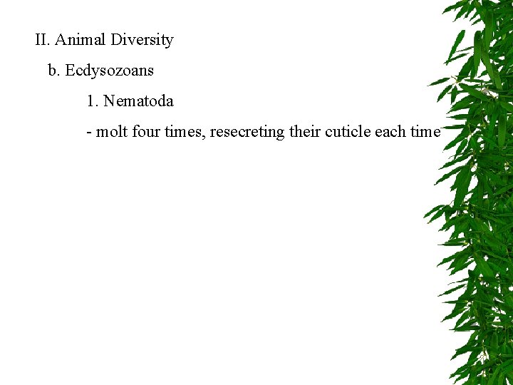 II. Animal Diversity b. Ecdysozoans 1. Nematoda - molt four times, resecreting their cuticle