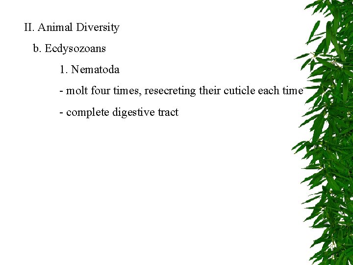 II. Animal Diversity b. Ecdysozoans 1. Nematoda - molt four times, resecreting their cuticle