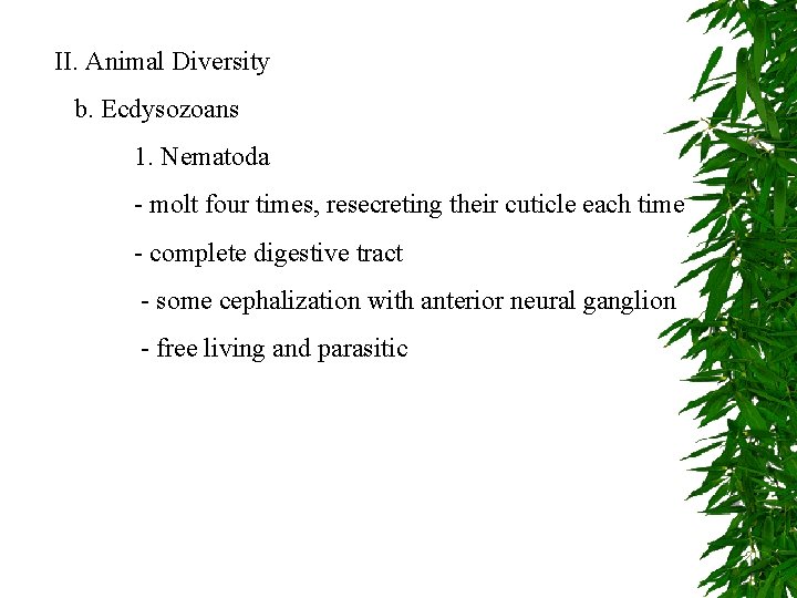 II. Animal Diversity b. Ecdysozoans 1. Nematoda - molt four times, resecreting their cuticle