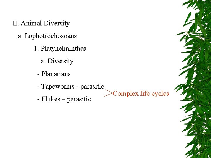 II. Animal Diversity a. Lophotrochozoans 1. Platyhelminthes a. Diversity - Planarians - Tapeworms -