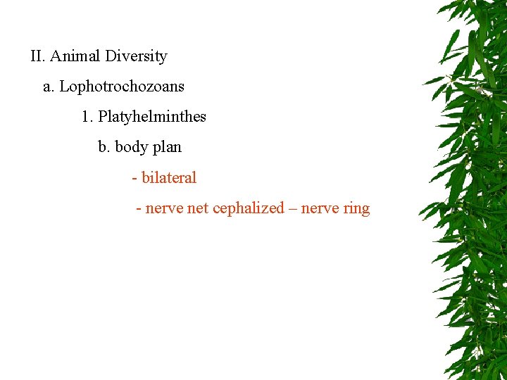 II. Animal Diversity a. Lophotrochozoans 1. Platyhelminthes b. body plan - bilateral - nerve