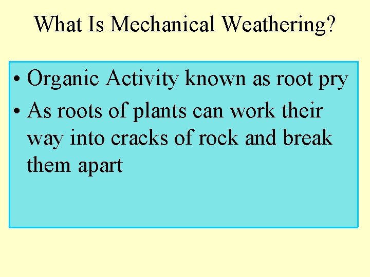 What Is Mechanical Weathering? • Organic Activity known as root pry • As roots What Is Mechanical Weathering? • Organic Activity known as root pry • As roots