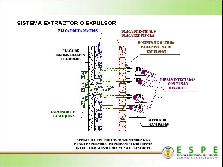 SISTEMA EXTRACTOR O EXPULSOR 