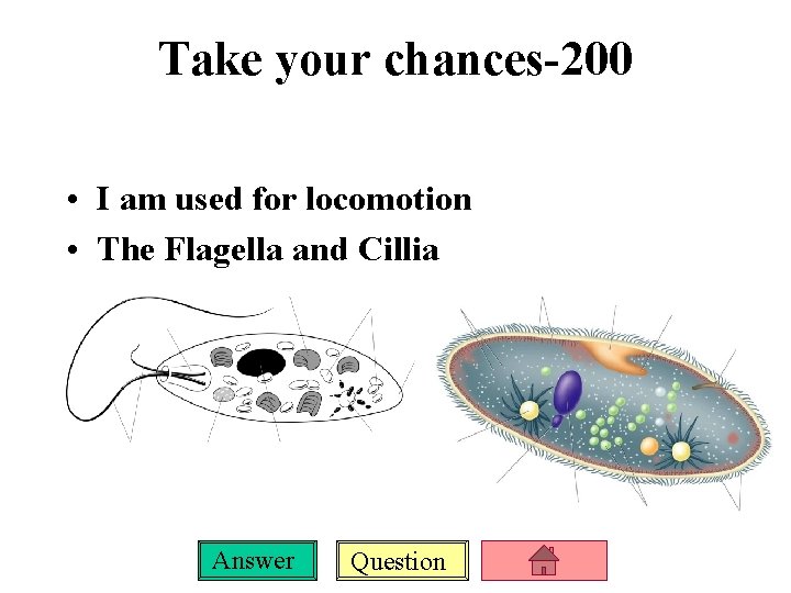 Take your chances-200 • I am used for locomotion • The Flagella and Cillia