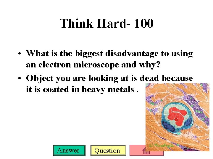 Think Hard- 100 • What is the biggest disadvantage to using an electron microscope