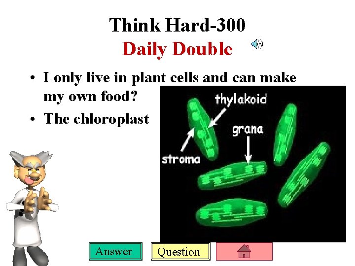 Think Hard-300 Daily Double • I only live in plant cells and can make