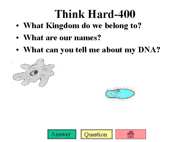 Think Hard-400 • What Kingdom do we belong to? • What are our names?