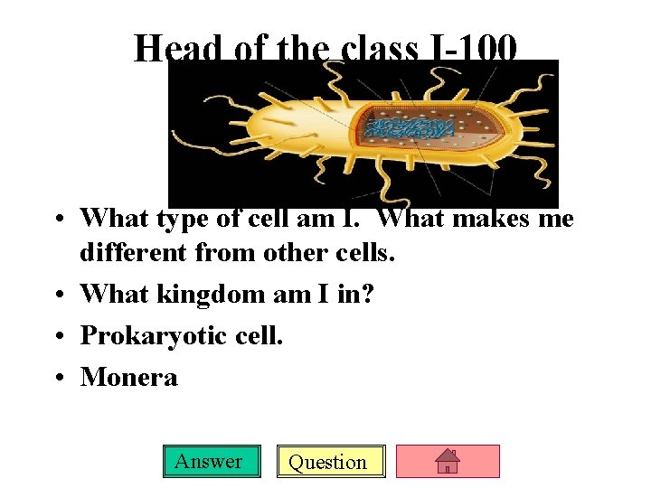 Head of the class I-100 • What type of cell am I. What makes