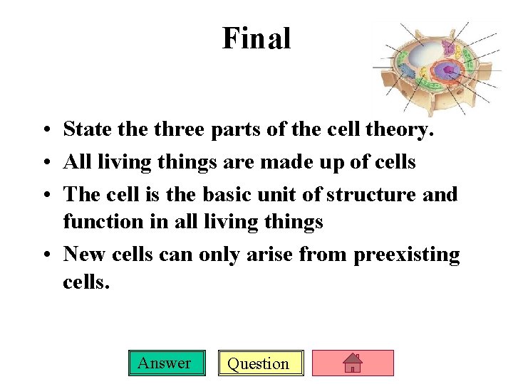 Final • State three parts of the cell theory. • All living things are