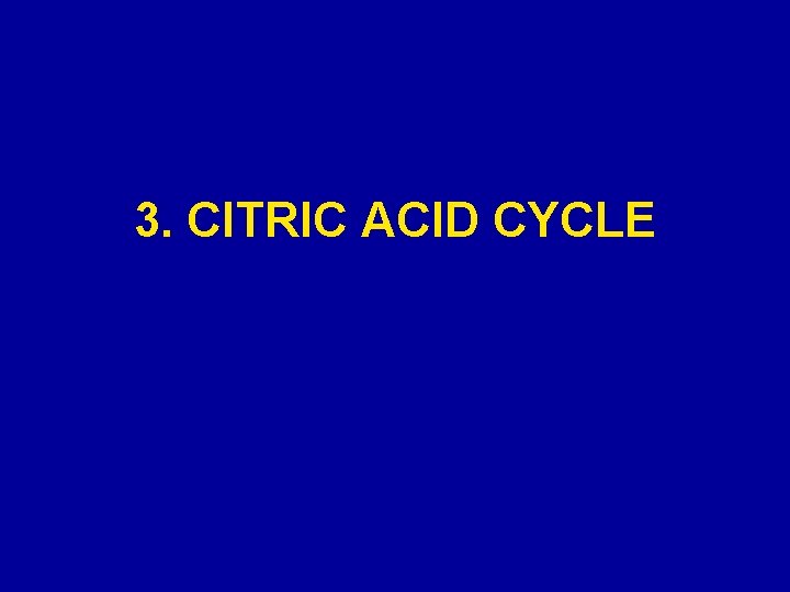 3. CITRIC ACID CYCLE 