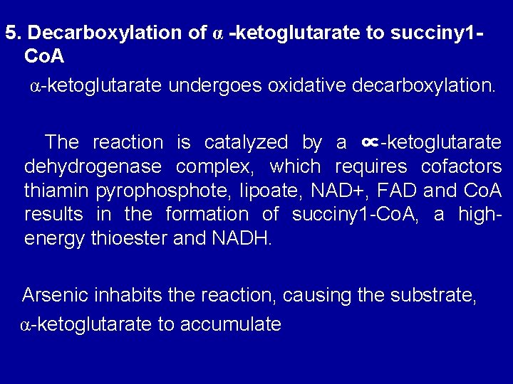 5. Decarboxylation of α -ketoglutarate to succiny 1 Co. A α-ketoglutarate undergoes oxidative decarboxylation.