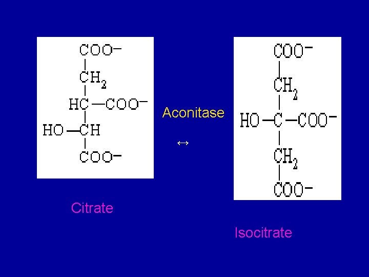 Aconitase ↔ Citrate Isocitrate 