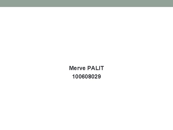 Merve PALIT 100608029 